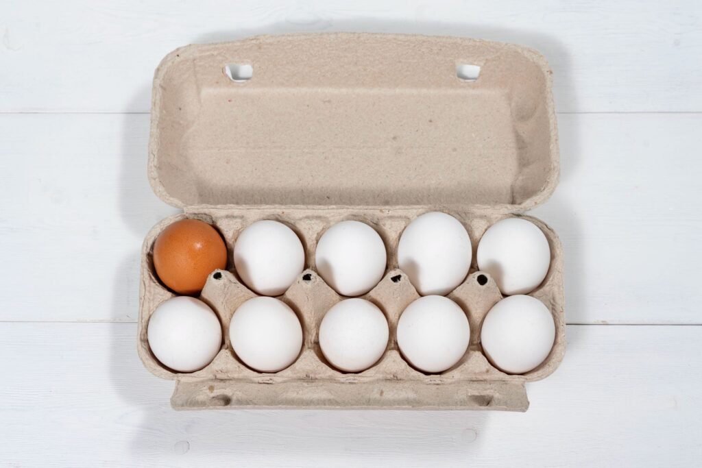 白い卵と茶色の卵