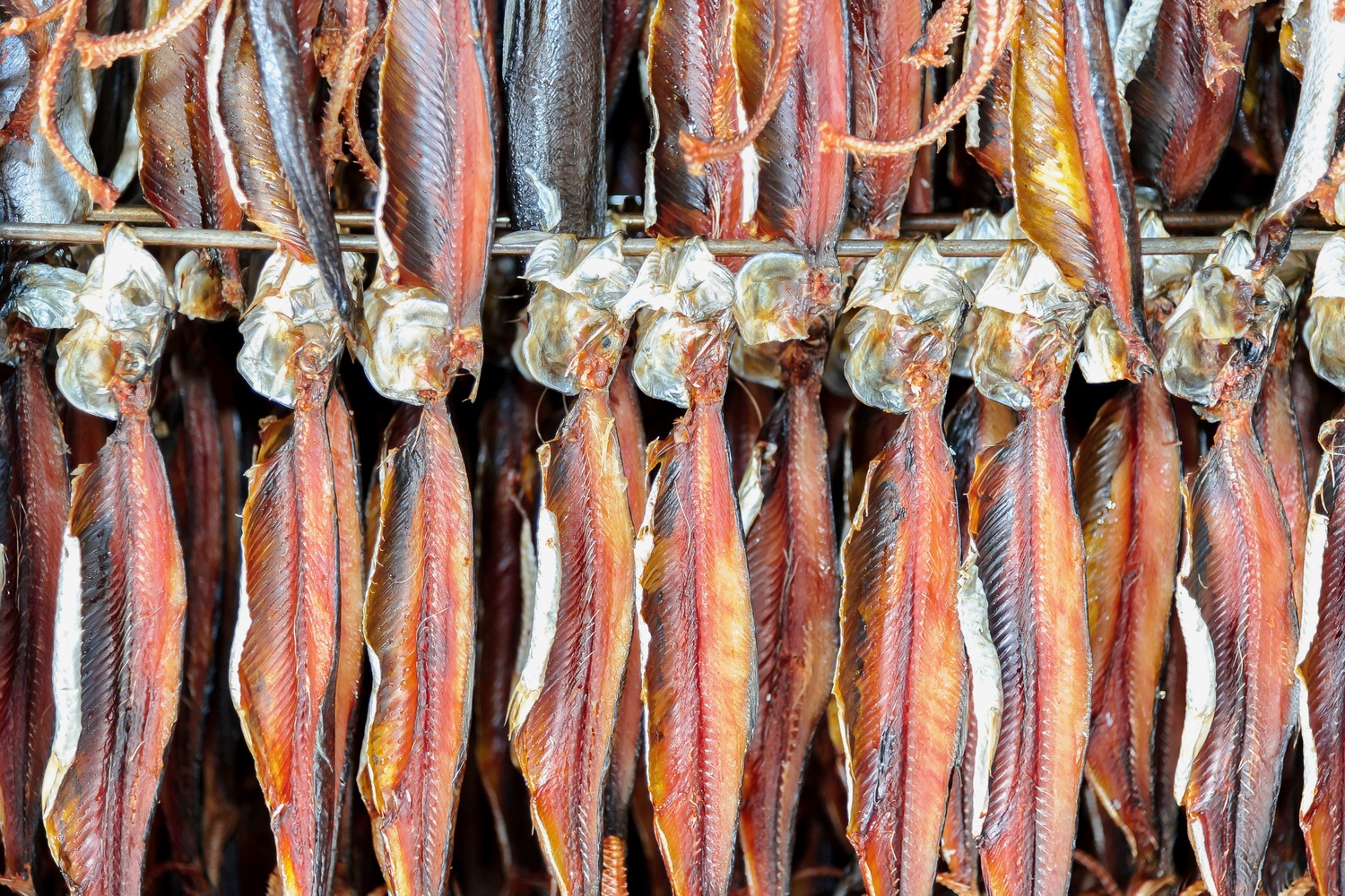 【ニシン】を食べよう!栄養と効能、身も卵も白子も美味しい魅力たっぷりの魚について - NORTH DISH