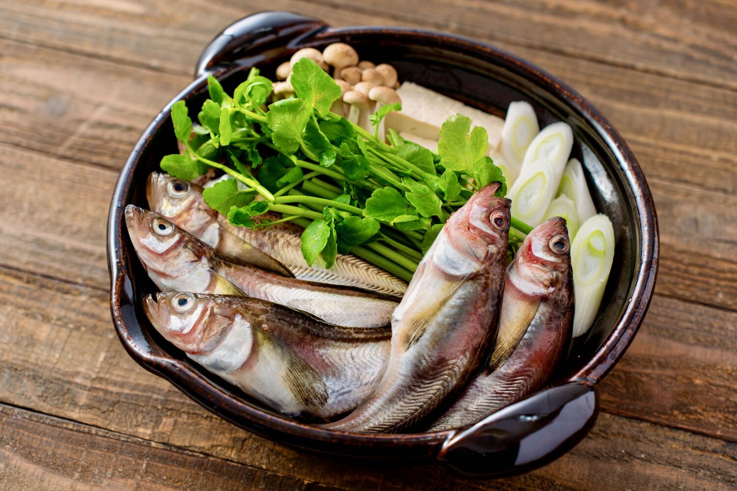 【ハタハタ】を食べよう!旬の時期や産地、おすすめの食べ方や栄養と効能について詳しく紹介 - NORTH DISH