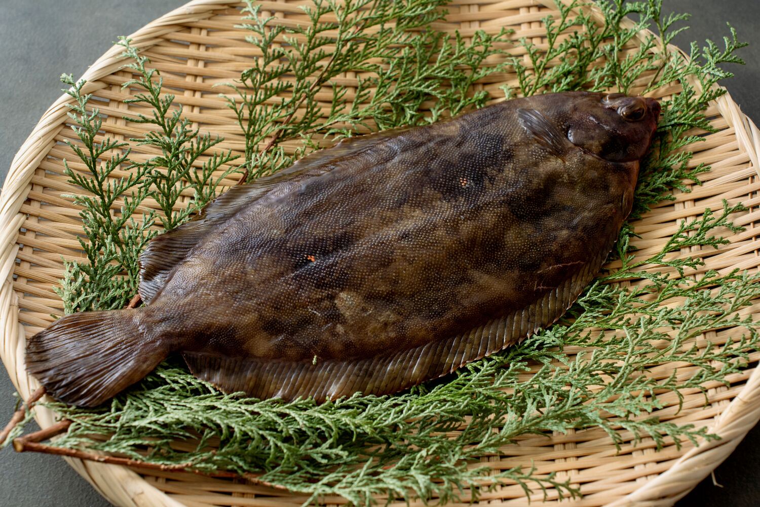 【カレイ】を食べよう!栄養と効能。マガレイなど種類ごとの特徴やヒラメとの比較、おすすめの食べ方- NORTH DISH
