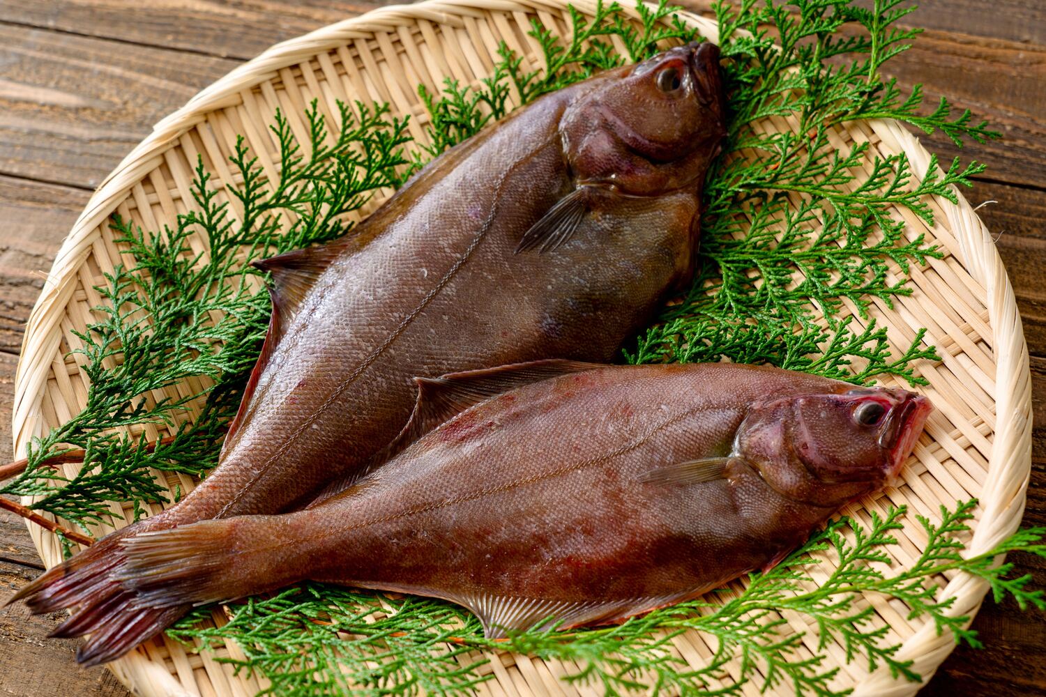 【カレイ】を食べよう!栄養と効能。マガレイなど種類ごとの特徴やヒラメとの比較、おすすめの食べ方- NORTH DISH