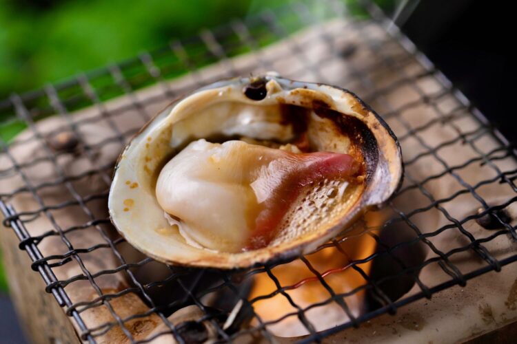 【ホッキ貝】を食べよう!栄養&効能ガイド。旬の時期やおすすめの食べ方、選び方まで詳しく解説 - NORTH DISH