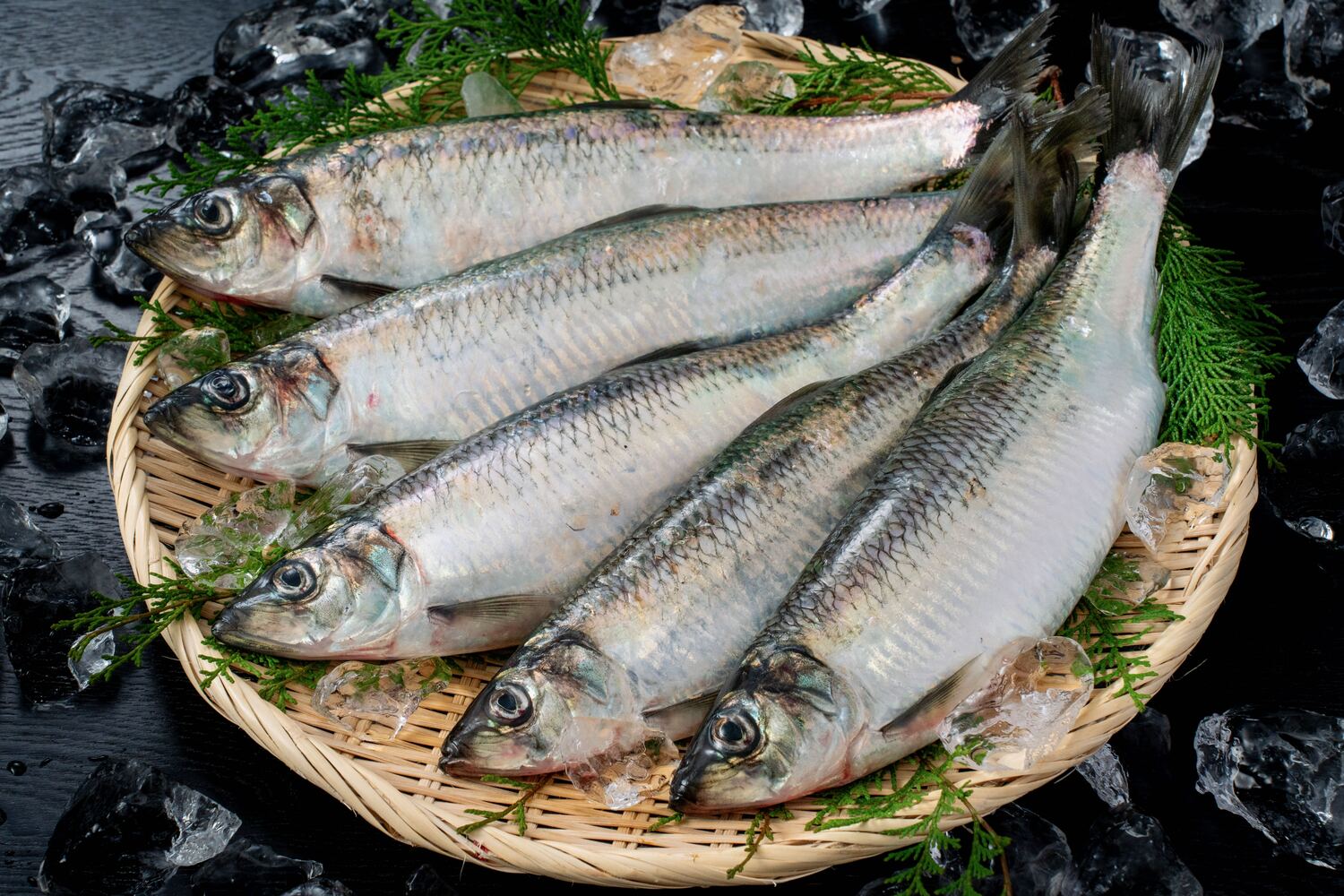 北海道寿都産の『活〆生ニシン』で春の訪れを感じよう!。刺身、数の子、白子ポン酢…どれも旨い!- NORTH DISH